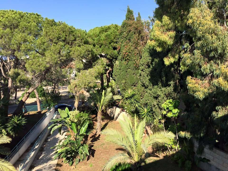 Hotel Carmel Mountain *
